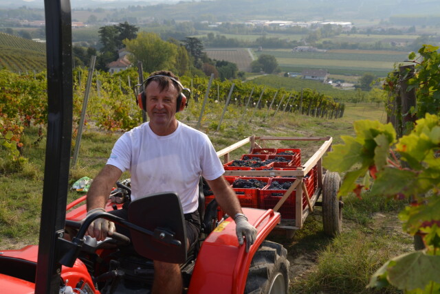 ARBEIDSOPPGAVER I KØ: På vingården Cascina Collina i Piemonte er det alltid noe å gjøre, og lange arbeidsdager for både Stein og Hilde. Foto: Privat ARBEIDSOPPGAVER I KØ: På vingården Cascina Collina i Piemonte er det alltid noe å gjøre, og lange arbeidsdager for både Stein og Hilde. Foto: Privat
